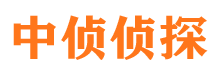 方正市调查公司